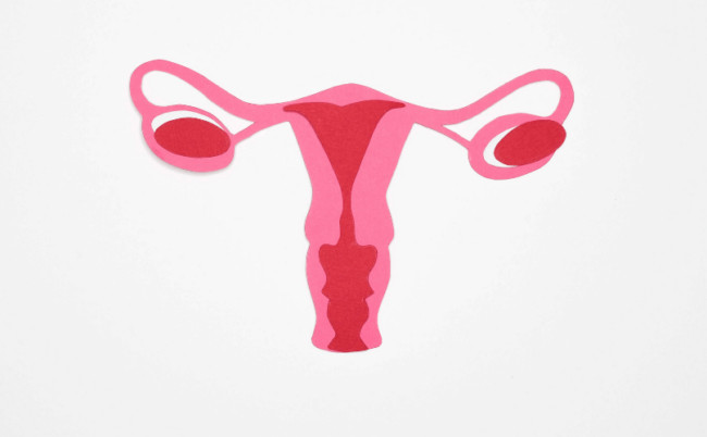 descente d'organes chez la femme utérus