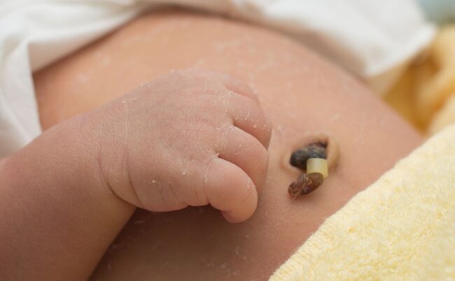 lien qui relie maman et bébé in utéro