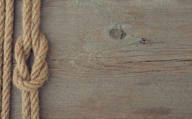 explications causes et traitements des torsions annexielle