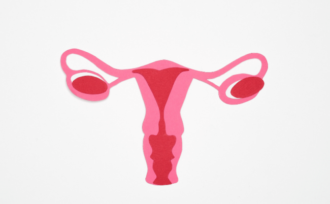 utérus rééducation du périnée contre les fuites urinaires