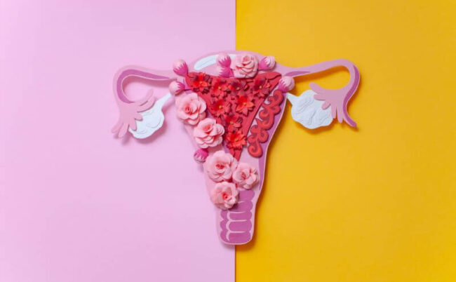 uterus vagin intimité